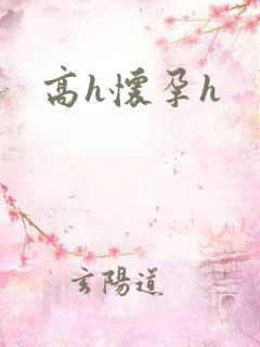 高h怀孕h