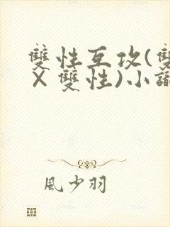 双性互攻(双性×双性)小识