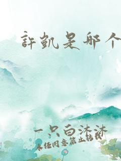 许凯是哪个公司