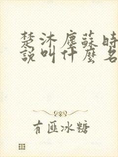 楚沐尘苏时锦小说叫什么名字