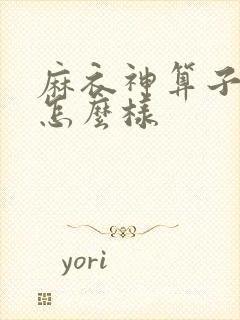 麻衣神算子写的怎么样