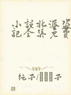 小说北派盗墓笔记全集免费