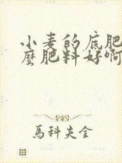 小麦的底肥用什么肥料好啊 小麦的底肥用什么肥料好啊