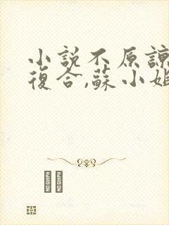 小说不原谅,不复合,苏小姐独美txt