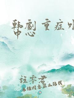 韩剧 重症外伤中心