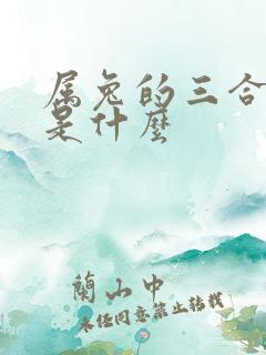 属兔的三合生肖是什么
