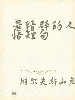 最精辟的人生感悟短句
