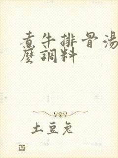 煮牛排骨汤放什么调料 煮牛排骨汤放什么调料