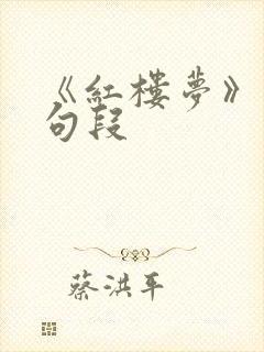 《红楼梦》精彩句段