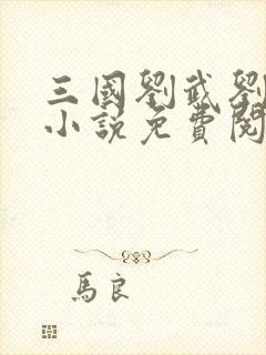 三国刘武刘子烈小说免费阅读