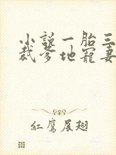 小说一胎三宝总裁爹地宠妻成瘾