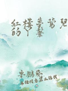 红楼梦莺儿是谁的丫鬟