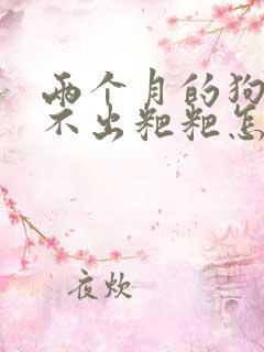 两个月的狗狗拉不出粑粑怎么办