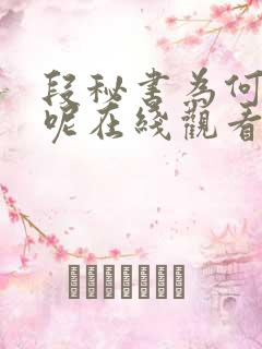 段秘书为何那样呢在线观看