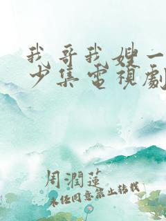 我哥我嫂一共多少集电视剧