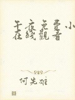 午夜免费小视频在线观看