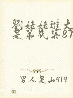刘姥姥进大观园是第几集87版