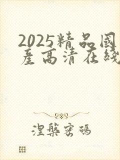 2025精品国产高清在线