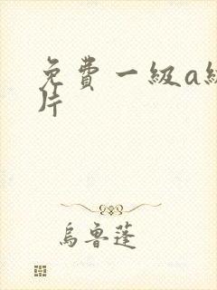 免费一级a级淫片