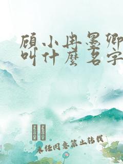 顾小冉墨卿小说叫什么名字