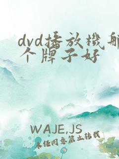 dvd播放机那个牌子好