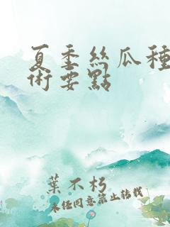 夏季丝瓜种植技术要点