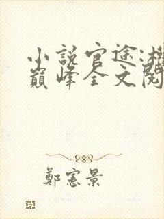 小说官途:权力巅峰全文阅读