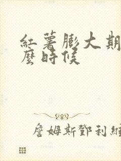 红薯膨大期是什么时候