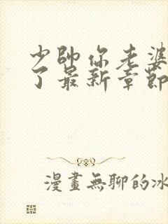少帅你老婆又跑了最新章节列表
