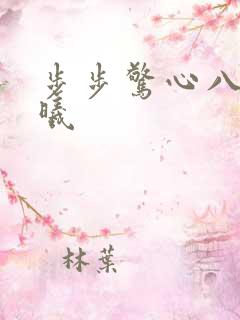步步惊心八爷若曦