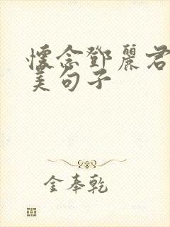 怀念邓丽君的优美句子