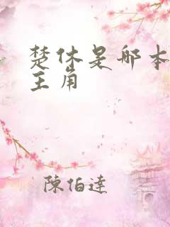 楚休是哪本小说主角