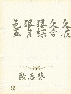 色狠狠久久av五月综合夜夜嗨