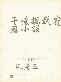 千亿总裁宠妻上瘾小说