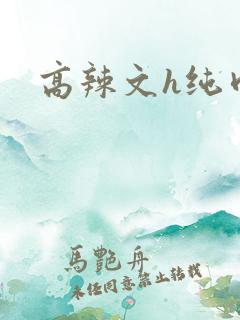 高辣文h纯肉
