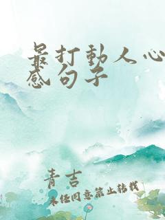 最打动人心的情感句子
