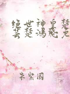 绝世神皇楚风楚芸楚鸿飞免费阅读