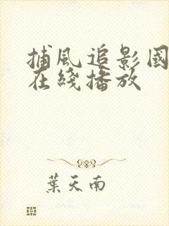 捕风追影国语版在线播放