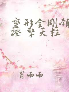 变形金刚领袖之证 擎天柱