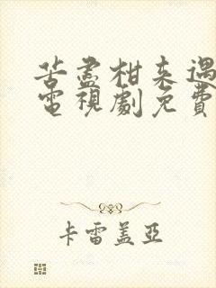苦尽柑来遇见你电视剧免费观看高清