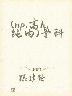 (np,高h,纯肉)骨科