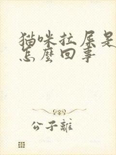猫咪拉屎是稀的怎么回事 猫咪拉屎是稀的怎么回事
