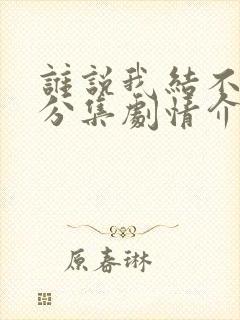 谁说我结不了婚分集剧情介绍