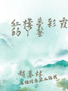 红楼梦彩霞是谁的丫鬟