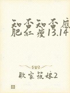知否知否应是绿肥红瘦13.14集