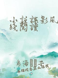 小说谍影风云在线阅读