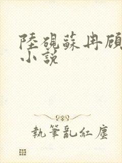 陆砚苏冉顾宸风小说