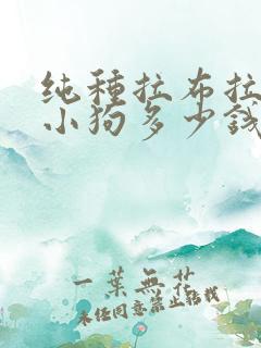 纯种拉布拉多犬小狗多少钱