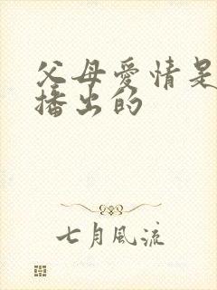 父母爱情是哪年播出的