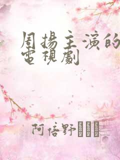 周扬主演的全部电视剧